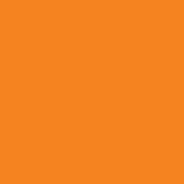 246513-EC Papir hamer B1 220gr. int. narančasta ORANGE 20 56827 10/1